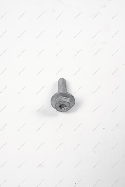 Болт петли двери LADA Vesta М8*30*1,25 Lada LADA 7703602238